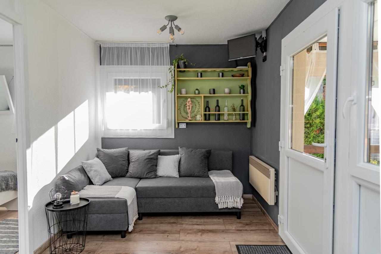 Amica Vendeghaz Villa Zalakaros Exterior foto